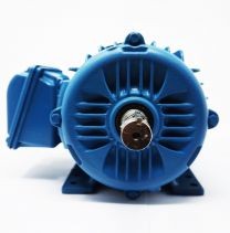 Motor trifásico 3 Hp Weg